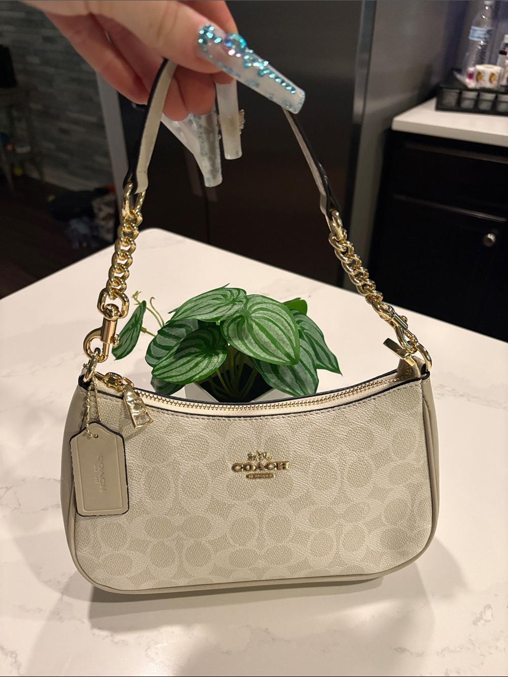 Coach Shoulder Bag